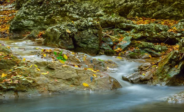 Rushing Small Mountain River — Stock Photo, Image