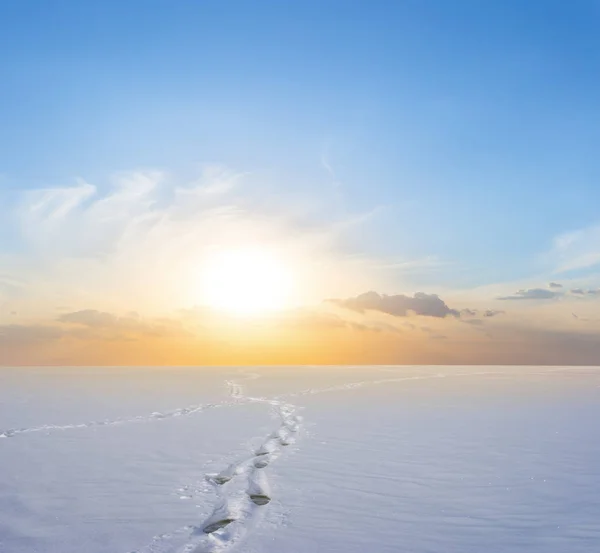 Plaine Enneigée Hiver Avec Piste Humaine Coucher Soleil — Photo