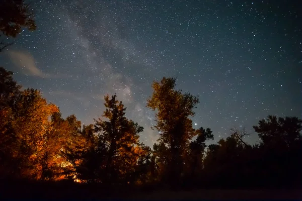 Scena Campeggio Notturno Fuoco Campo Turistico Una Foresta Notturna Sotto — Foto Stock