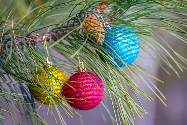 Closeup Cristmass Toys Pine Tree Branch Outdoor Winter Holiday Background — Stock Photo, Image