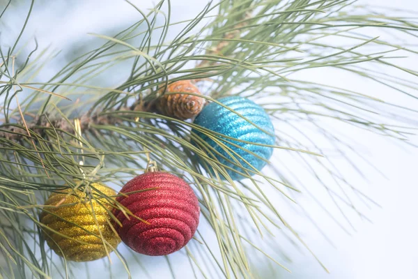 Brillantes Weihnachtsbaumspielzeug Auf Einem Tannenzweig Winterurlaub Hintergrund — Stockfoto