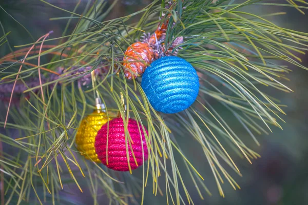 Zbliżenie Cristmass Zabawki Gałęzi Sosny Zewnątrz Zima Wakacje Tło — Zdjęcie stockowe