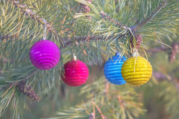 Closeup Cristmass Παιχνίδια Ένα Κλαδί Πεύκου Υπαίθρια Χειμερινές Διακοπές Φόντο — Φωτογραφία Αρχείου