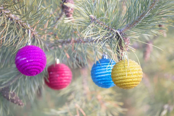 Brillantes Juguetes Árbol Navidad Una Rama Pino Fondo Vacaciones Invierno — Foto de Stock