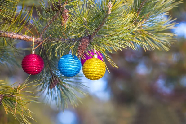 Primer Plano Cristmass Juguetes Una Rama Pino Fondo Vacaciones Invierno — Foto de Stock