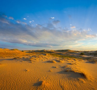 Akşam kumlu çöl, açık çöl arka planı.