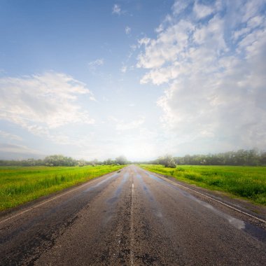 Yağmurdan sonra güneşin altında asfalt yol.