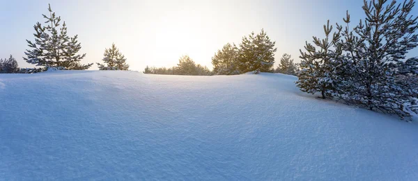 Breite Waldlichtung Schnee Bei Sonnenuntergang Abends Ruhiger Winterhintergrund — Stockfoto