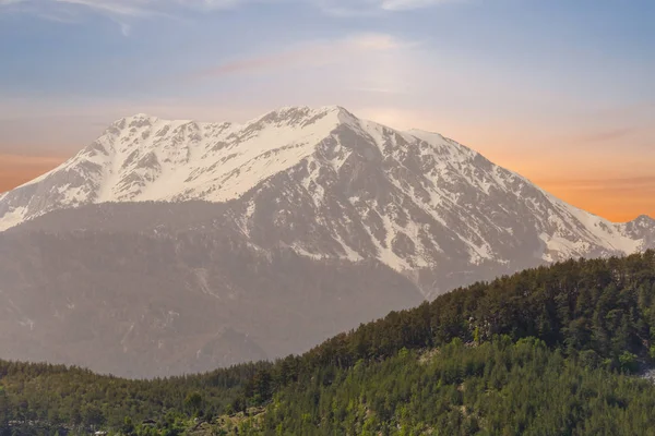 Gün Batımında Bir Karda Ata Bin — Stok fotoğraf