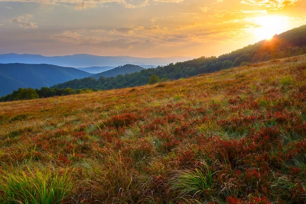 Monte Pendio Con Erba Tramonto Drammatico — Foto Stock