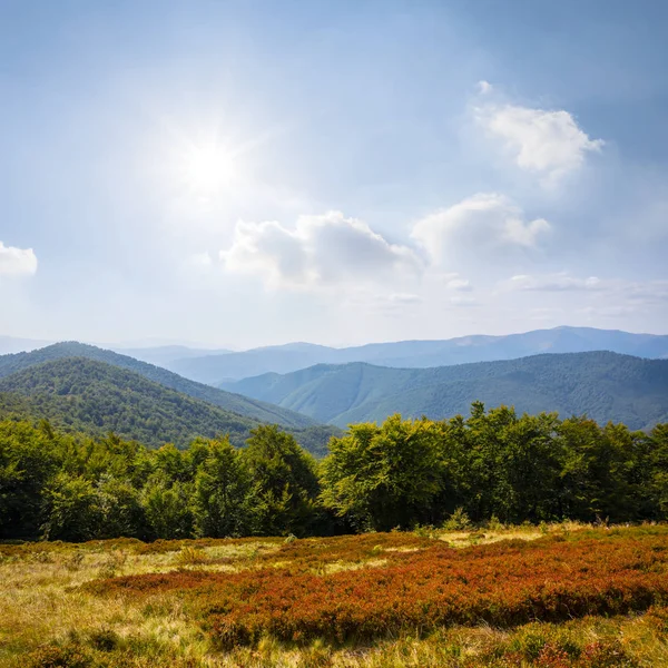 Summer Mountain Scene Mountain Valley Forest Umder Sparkle Sun — Stock Photo, Image