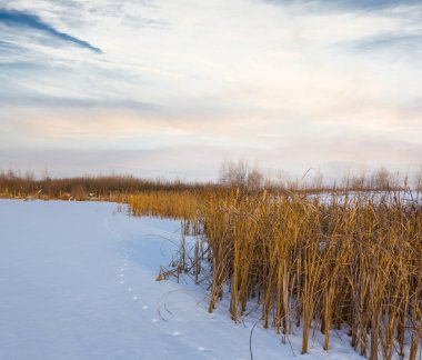 Akşamları karla kaplı küçük donmuş göl, açık havada kış manzarası.