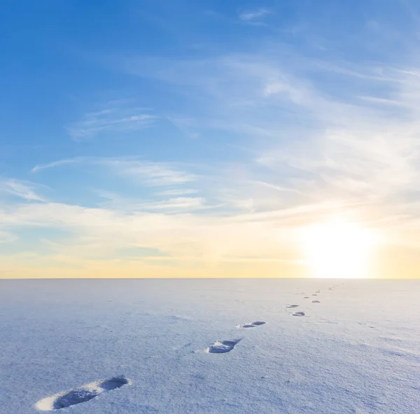 Winter Snowbound Plain Human Track Sunset — Stock Photo, Image