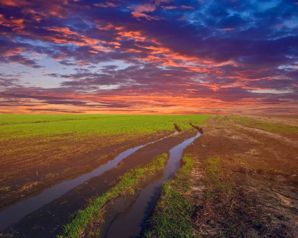 Yeşil Kırsal Alan Gölet Çamur Günbatımında Ilkbahar Kırsal Manzarası — Stok fotoğraf