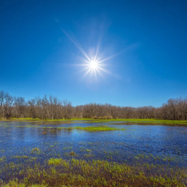 輝く太陽の下の早春の氾濫原 — ストック写真