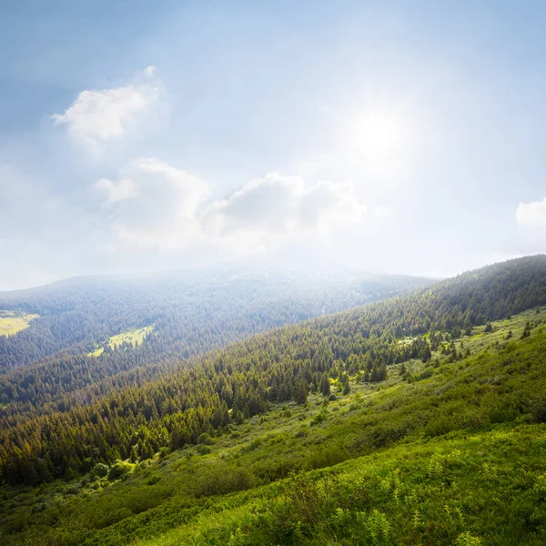 Зелений Гірський Схил Світлі Іскрового Сонця — стокове фото