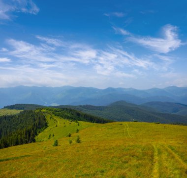 güzel yaz yeşil dağ manzarası
