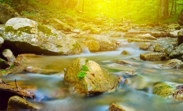 Kleiner Fluss Rauscht Durch Die Gebirgsschlucht Wildlife Hintergrund Freien — Stockfoto