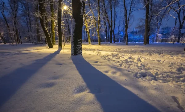 Invierno Parque Cubierto Nieve Una Luz Linterna — Foto de Stock
