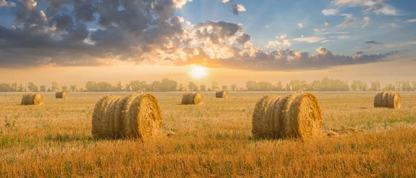 落日时分 麦田收获了大海捞针 农村的农业景象 — 图库照片