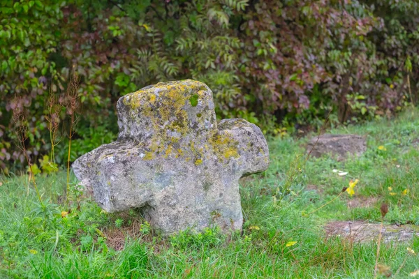 Stary Cmentarz Kamienny Krzyż Lesie Zabytek Historii — Zdjęcie stockowe