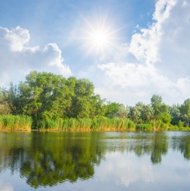 Işıl ışıl bir güneşin altında, ağaçlı küçük bir göl, açık hava yaz manzarası.