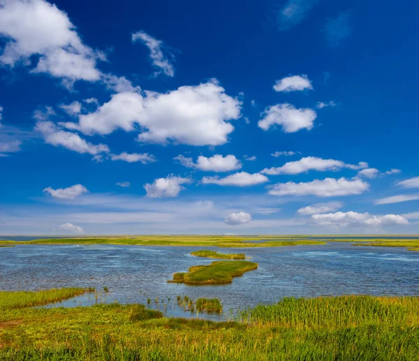 Pequeño Lago Entre Una Pradera Bajo Cielo Azul Nublado —  Fotos de Stock