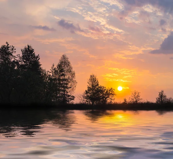 Silhueta Floresta Uma Costa Lago Pôr Sol Bom Fundo Livre — Fotografia de Stock