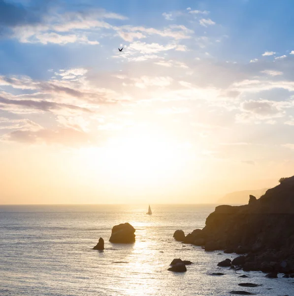 Dramatische Zee Klif Silhouet Bij Zonsondergang Outdoor Marine Scene Achtergrond — Stockfoto