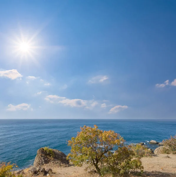 Costa Mare Smeraldo Sotto Sole Scintillante Caldo — Foto Stock