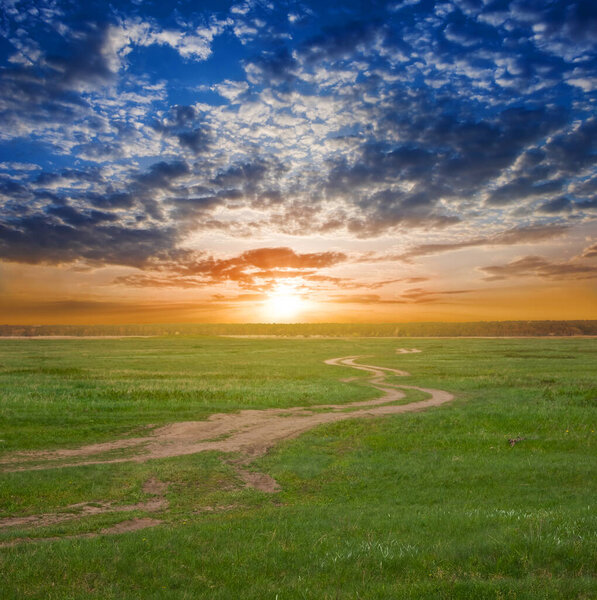 Green rural field with ground road at the dramatic sunset