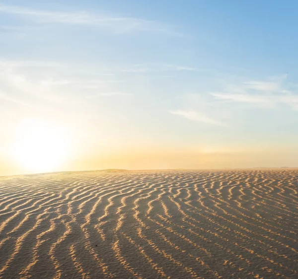 Golvend Zandwoestijn Landschap Bij Zonsondergang — Stockfoto