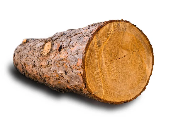 Beyaz arkaplanda izole edilmiş çam ağacı gövdesi