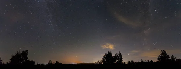 Cielo Estrellado Noche Sobre Claro Bosque Paisaje Aire Libre Noche —  Fotos de Stock