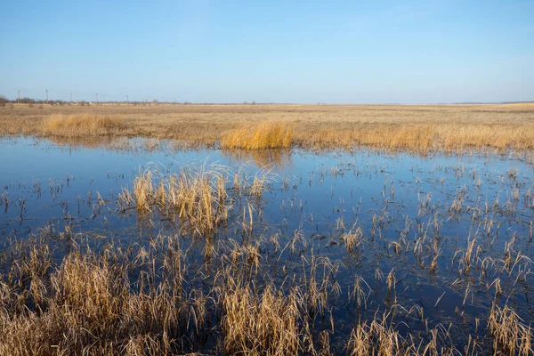 在干枯的草原间的蓝色小湖 春天的洪水泛滥 — 图库照片