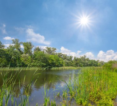 Işıl ışıl güneş altındaki bir ormanın içinden akan sakin bir nehir, yaz kırsal manzarası.