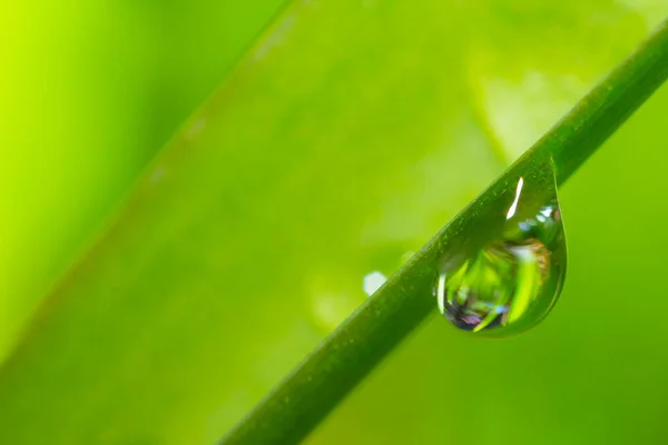 Close Gota Água Uma Folha Verde Fundo Micro Natural — Fotografia de Stock