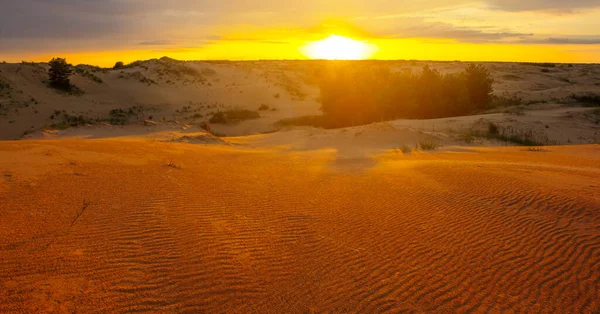 Large Désert Sablonneux Coucher Soleil — Photo