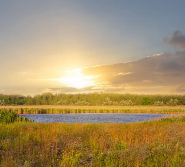 Małe Jezioro Wśród Prerii Zachodzie Słońca Plenerowa Scena Wieczorna — Zdjęcie stockowe