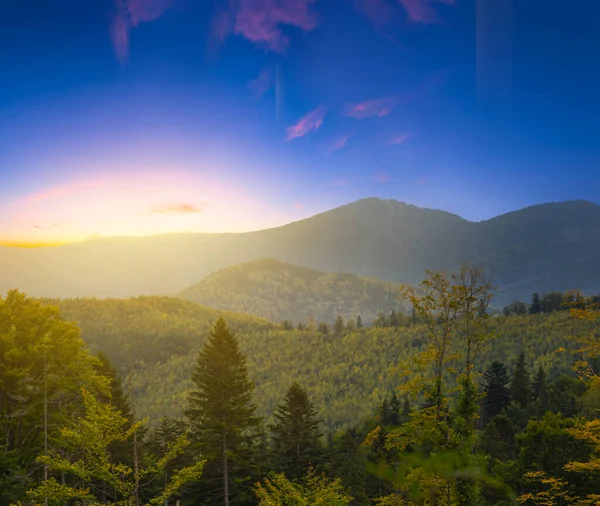 Grünes Gebirgstal Der Morgendämmerung — Stockfoto