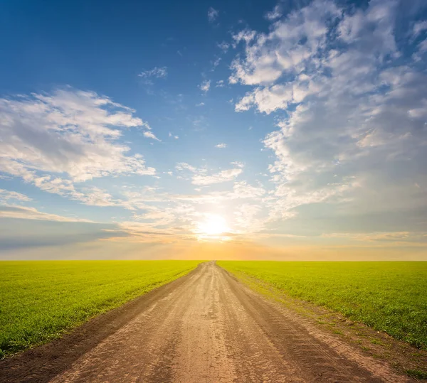 Strada Sterrata Tra Campi Verdi Tramonto — Foto Stock