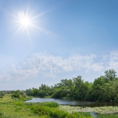 Güneşli bir günde yeşil tarlaların arasında küçük bir göl, yaz kırsal kesimlerinde