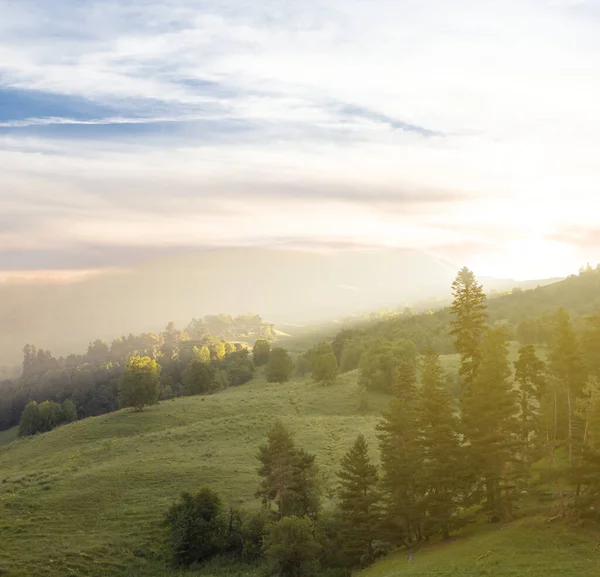 Zielone Zbocze Góry Mgle Wczesnym Rankiem — Zdjęcie stockowe