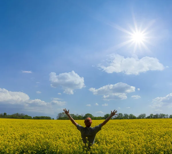 Happy Man Stay Yellow Rape Field Sparkle Sun Agricultural Rural — Stock Photo, Image