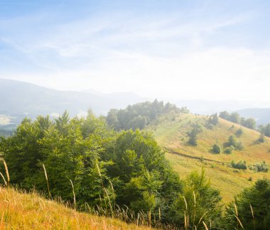 Mavi gökyüzünün altındaki yeşil dağ vadisi, yaz manzarası.