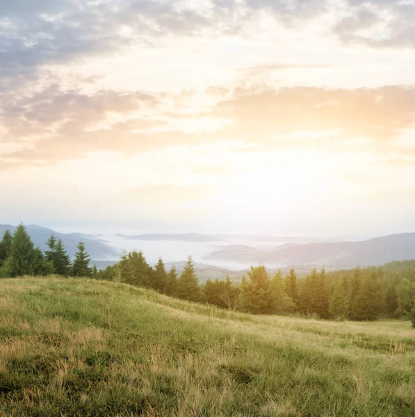 Bergtal Frühen Morgen Aufgehende Sonne Über Nebligem Berg — Stockfoto