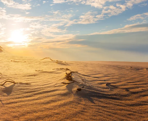 Dramatische Zonsondergang Boven Een Hete Zandwoestijn — Stockfoto