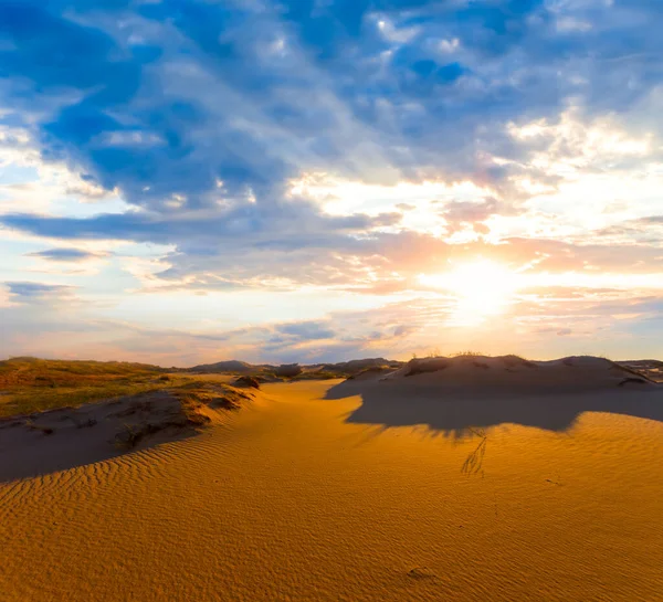 Dramatisk Solnedgång Över Varm Sandöken Vild Naturlig Bakgrund — Stockfoto