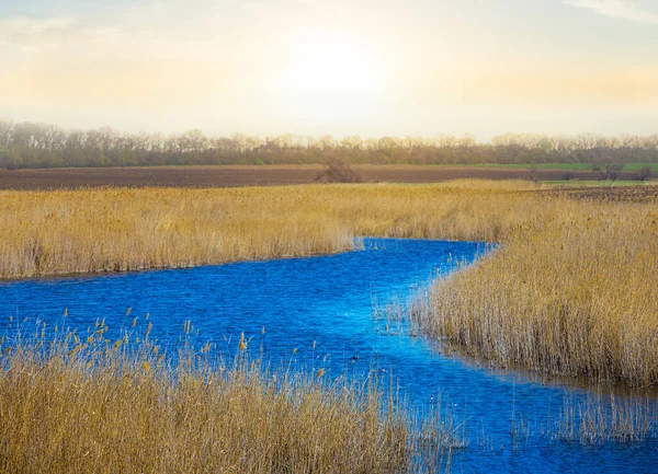草原や春の夜の風景の中に流れる美しい小さな青い川 — ストック写真