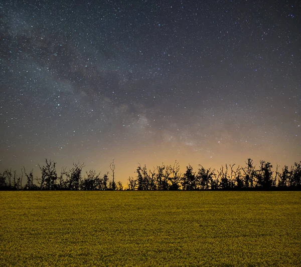 Cielo Estrellado Noche Con Vía Láctea Sobre Campo Violación Rural — Foto de Stock